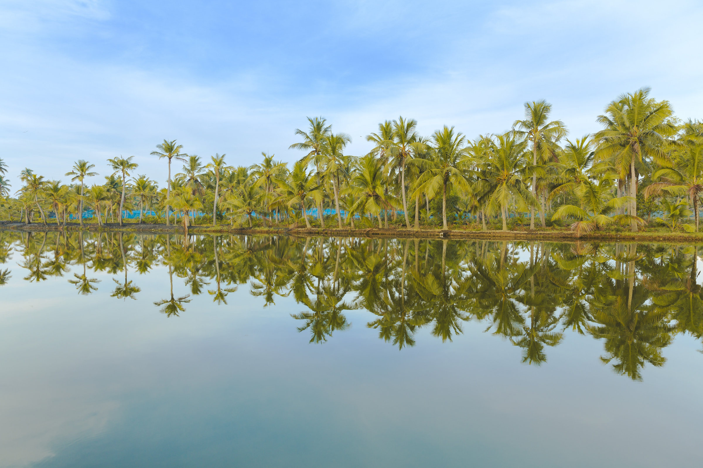 kollam (3).webp